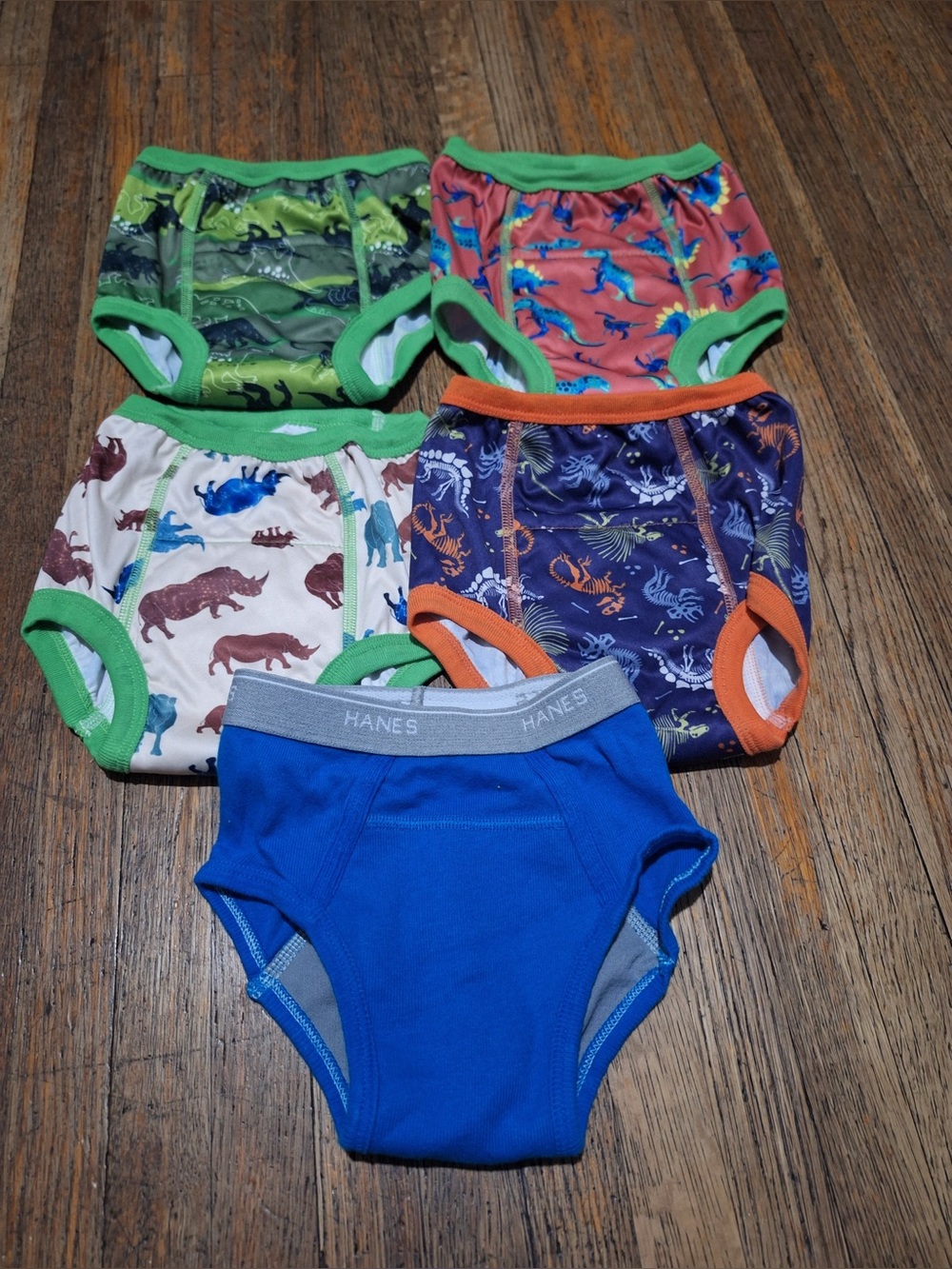 Hanes Boys' Blue & Multicolor Dinosaur and Animal Training Pants (5-Pack)